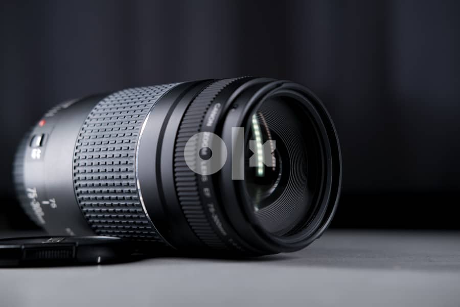 Canon 60D (shutter count 451) 8