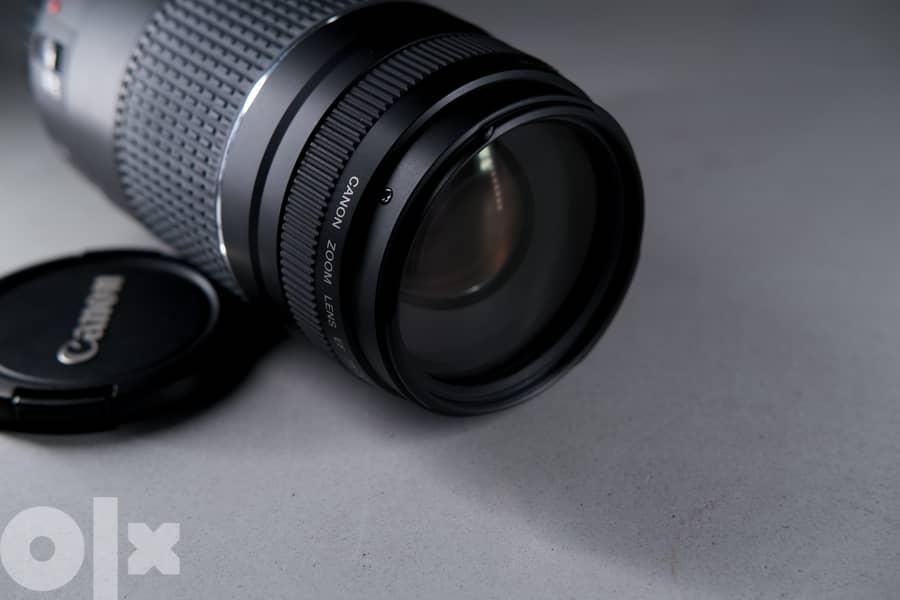 Canon 60D (shutter count 451) 9