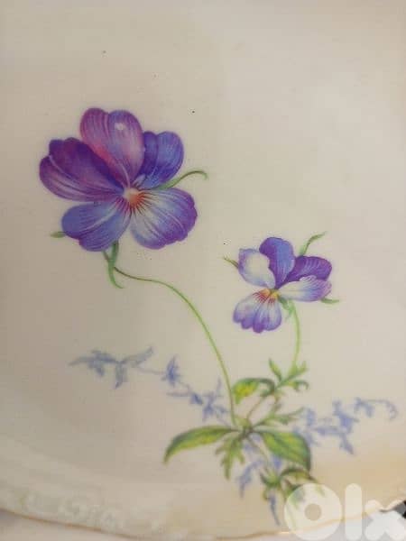 صحن زجاج Germany 3