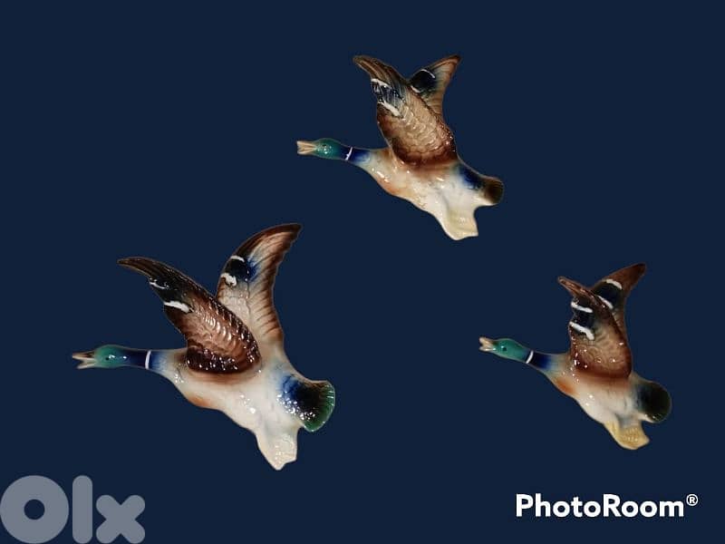 3 Vintage 1950 wall graduated ceramic flying ducks for sale 0