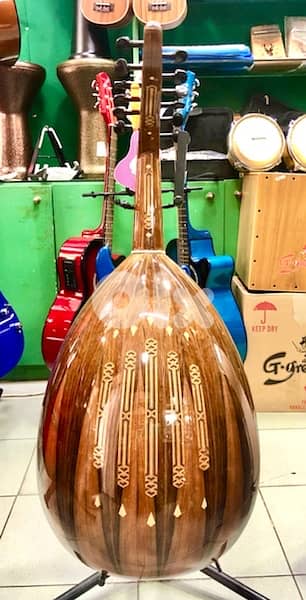 oud zeryab professional 2