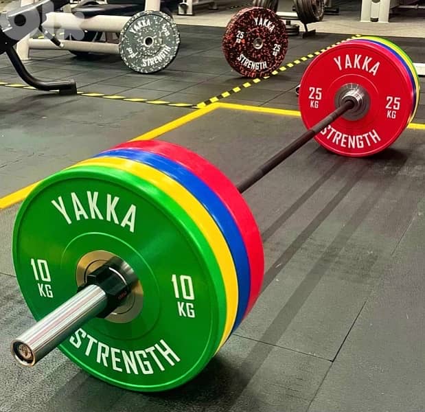 COLOR BUMPER PLATES 2