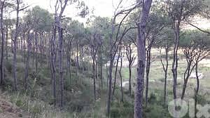 2500SQ Land In Broumana MAR CHAYAA Prime, BRLN-115 0