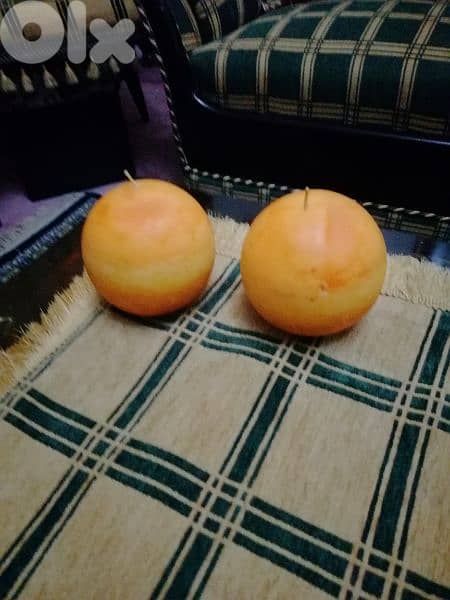 جوز شمع 0
