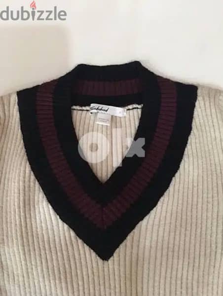 Subdued sweater 1