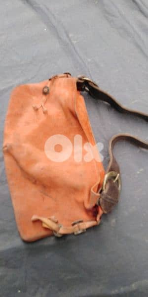 جذدان إيطالي. . . . . . 0