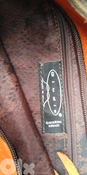 جذدان إيطالي. . . . . . 1