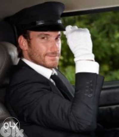 Driver for professional English speaking only