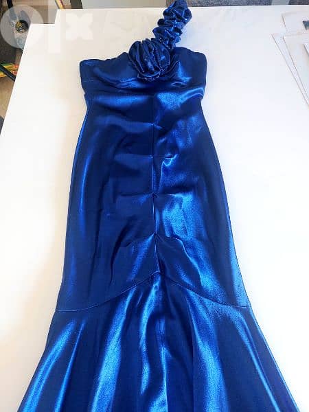 Chic Long Sirene Dress - Small/Medium 0