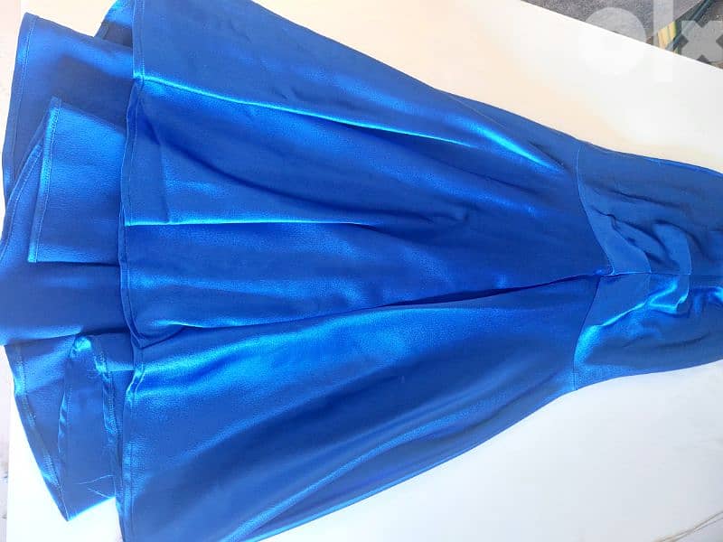 Chic Long Sirene Dress - Small/Medium 2