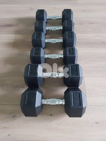 hexagon dumbbells 0