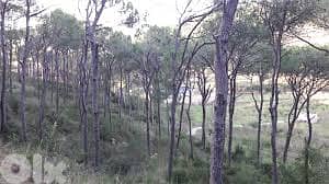 House With 4000Sq Land In Baabdat Mountain View , BDLN-122 1