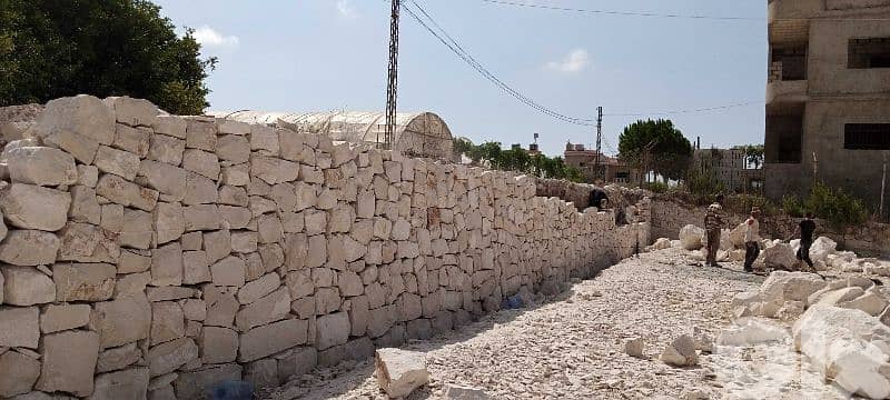 ديكور الحديقا 1