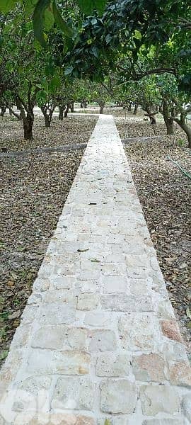 ديكور الحديقا 2