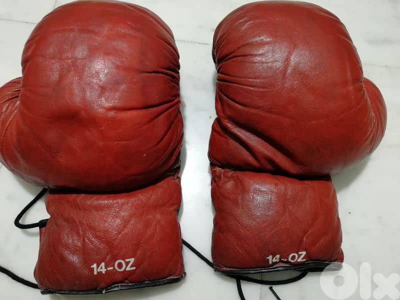 antique بوكس ملاكمة 1