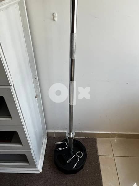 olympic 220cm barbell 2