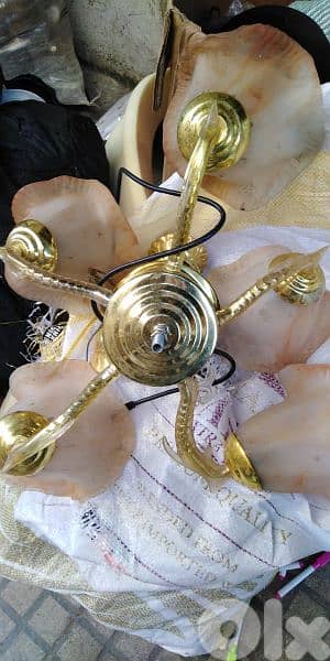 تريا  حلوه. . . . . . 0