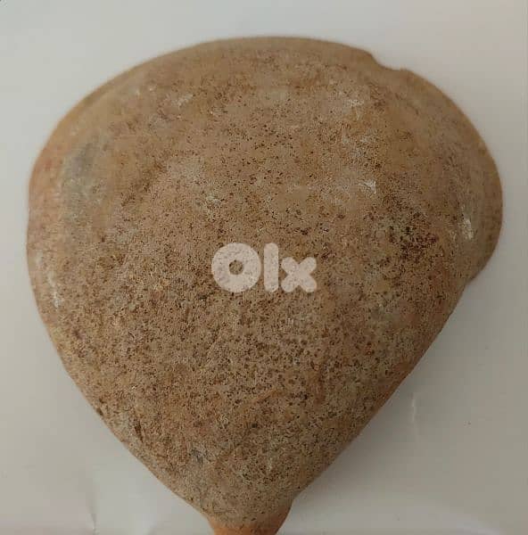 Phoencian Cannaanite Terrecotta open wicked Oil Lamp year 1000 BcE 1