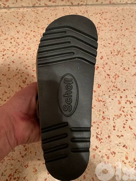 scholl 4