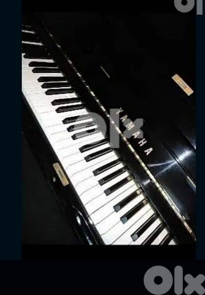 Piano teacher. Degree from cologne College. Germany 1