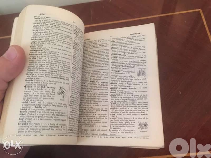 Dictionaries ( 3 ) قاموس حجم صغير عدد 5