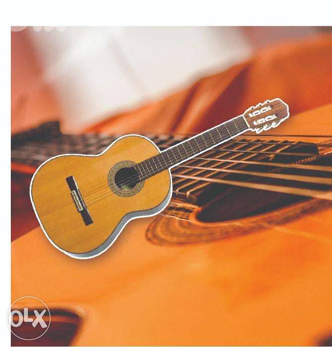 Brand New Class B Guitar 36" & 39" 0