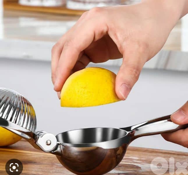 excellent stainless steel manual juicer 1