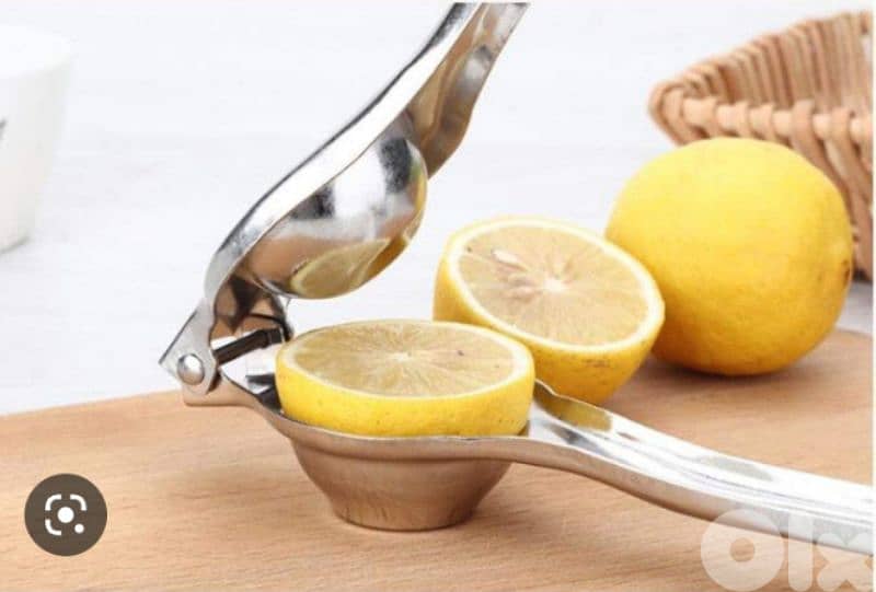 excellent stainless steel manual juicer 2