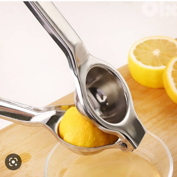 excellent stainless steel manual juicer 3
