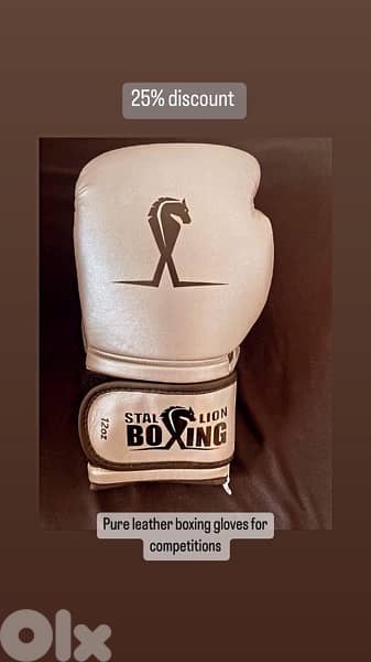 boxing gloves 3