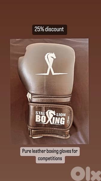 boxing gloves 4