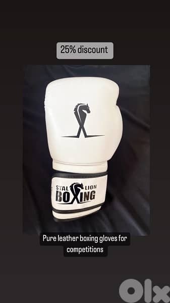 boxing gloves 6