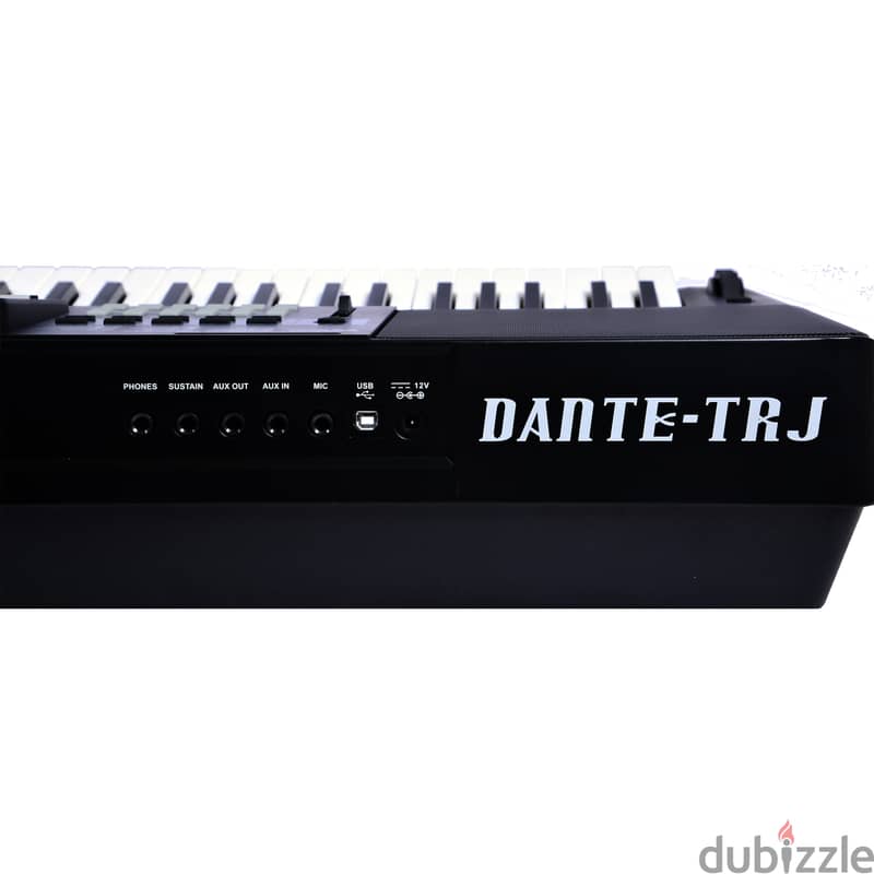 Medeli TRJ oriental 1