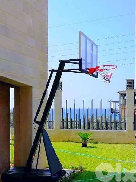 Basketball Hoop System 0