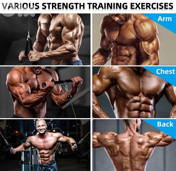 Pulley Cable System 2