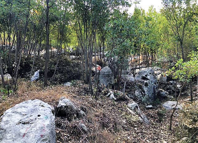2649 SQM Prime Location Land in Zandouka, Mount Lebanon 1