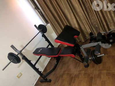 Olympic heavy duty Adjustable Bench with rack legs biceps 03027072 GEO