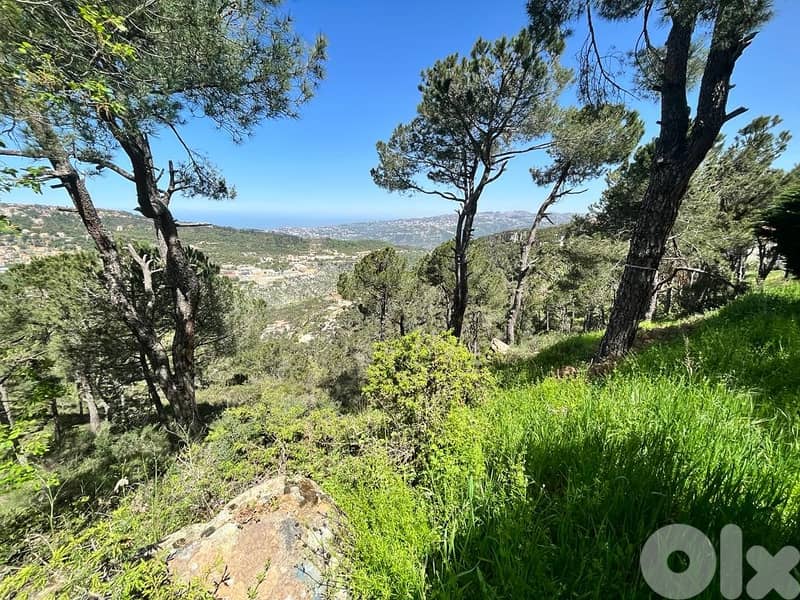 5000 Sqm | Prime Location | Land For Sale In Khenchara 1