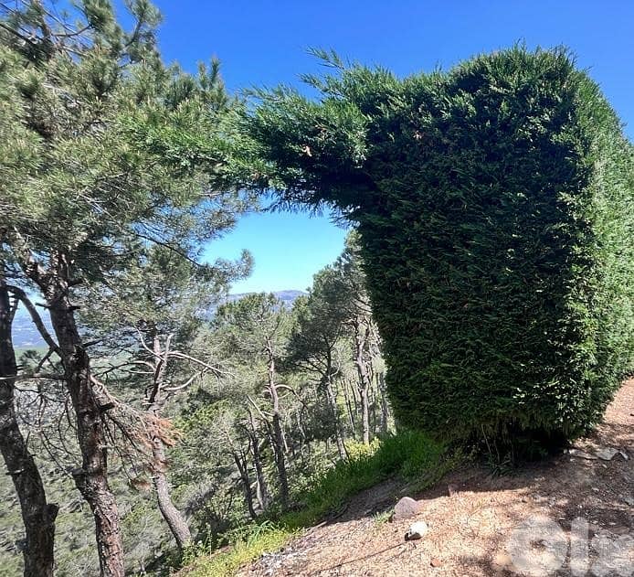 5000 Sqm | Prime Location | Land For Sale In Khenchara 3