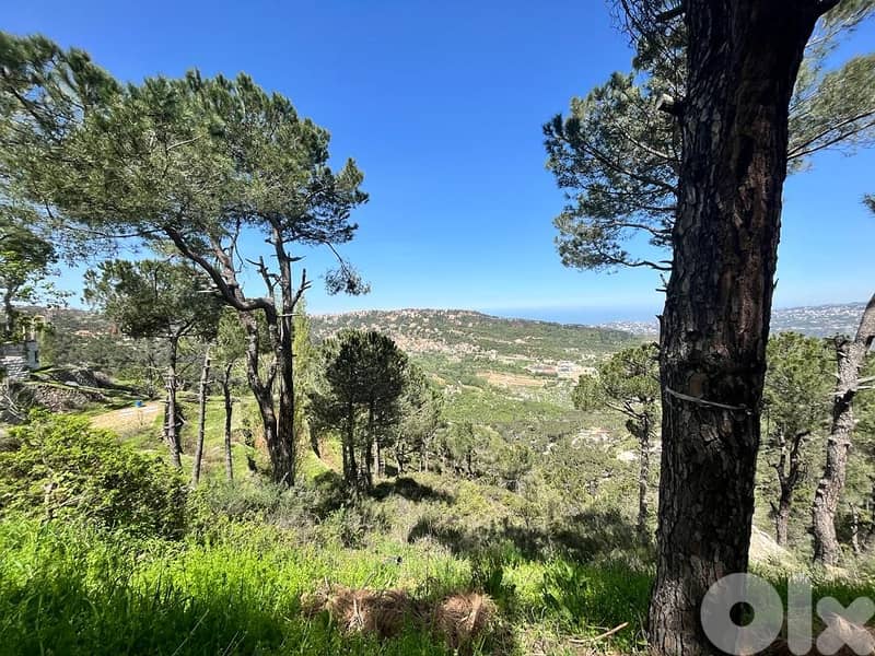 5000 Sqm | Prime Location | Land For Sale In Khenchara 4