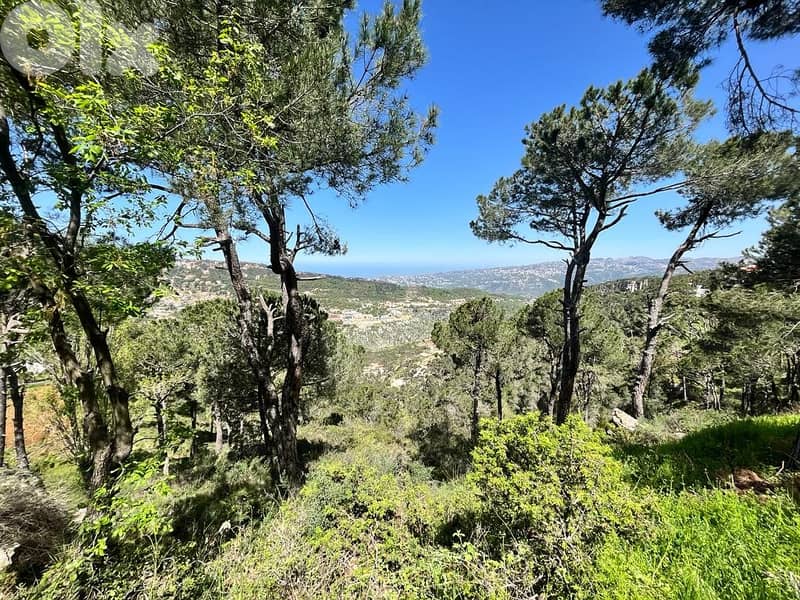 5000 Sqm | Prime Location | Land For Sale In Khenchara 5