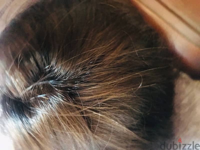 شعر طبيعي ١٠٠٪؜hair extensions 100% normal 2