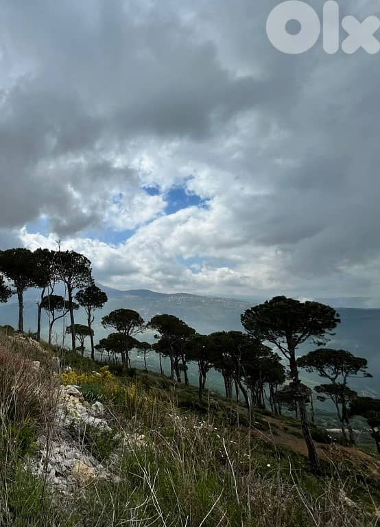 1550 Sqm | Land For Sale In Kaakour | Panoramic Mountain View 1