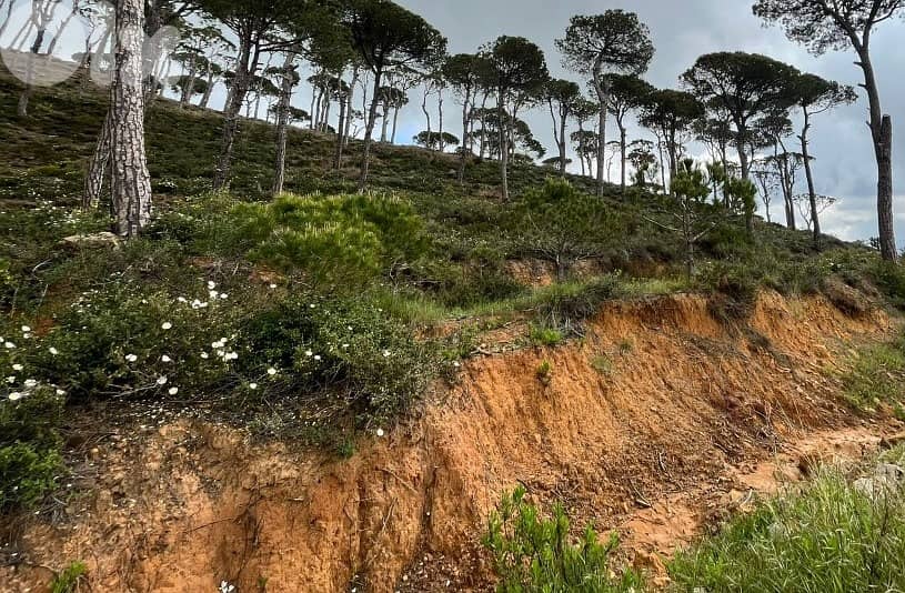 1550 Sqm | Land For Sale In Kaakour | Panoramic Mountain View 2