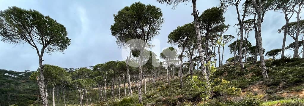 1550 Sqm | Land For Sale In Kaakour | Panoramic Mountain View 4