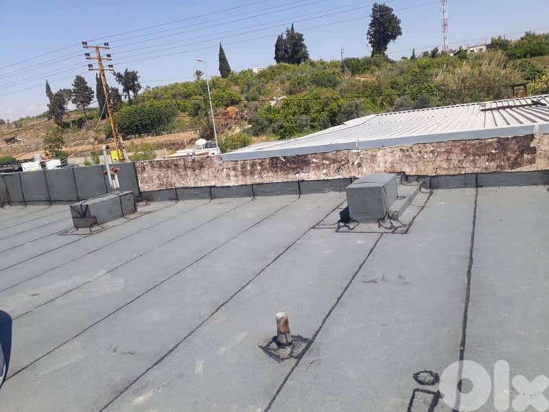 الشياح الغبيري 0