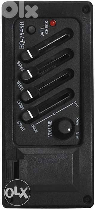 electro classical guitar karl shneider 2