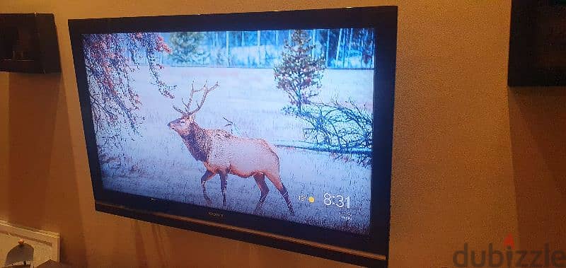 sony tv 46 inch 3