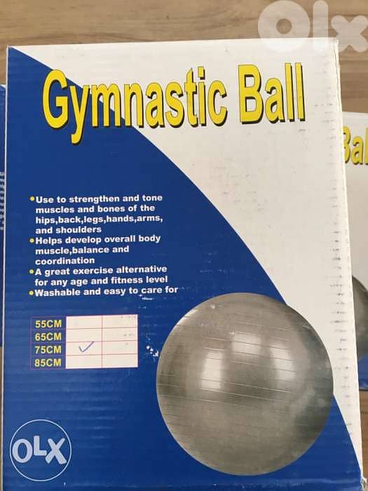 gymnastic ball 75 cm 3