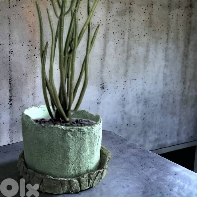 Concrete round planters 0